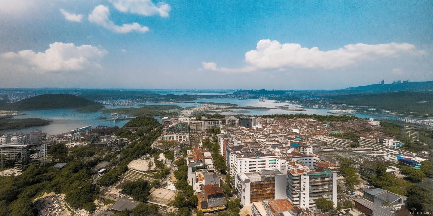 台网红馆长对比内陆机场体验：浦东机场规模与设施深度解析